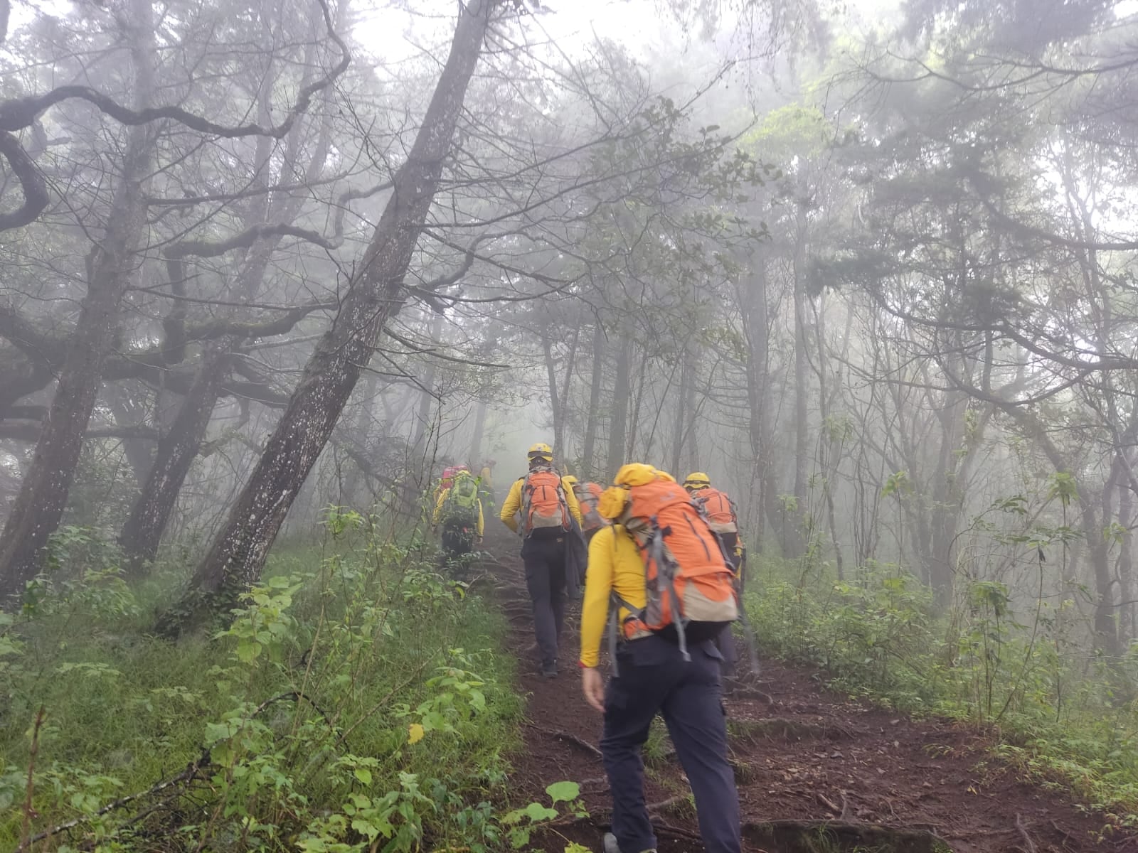 Hacer senderismo o aventurarse en una caminata en la montaña, un bosque o un parque nacional es una experiencia que cada día gusta más, pero también puede tener riesgos como el perderse, según confirma José Pablo Almanza Meneses, bombero con 11 años de experiencia y miembro de la unidad operativa de cavernas y montañas del Cuerpo de Bomberos de Costa Rica.