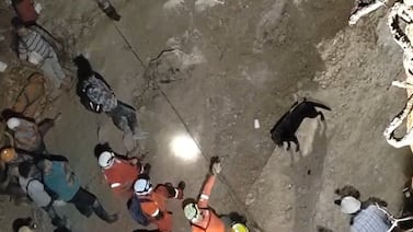 Perro entrenado señala el lugar en el que se encontraría cuerpo de minero sepultado por enorme deslizamiento