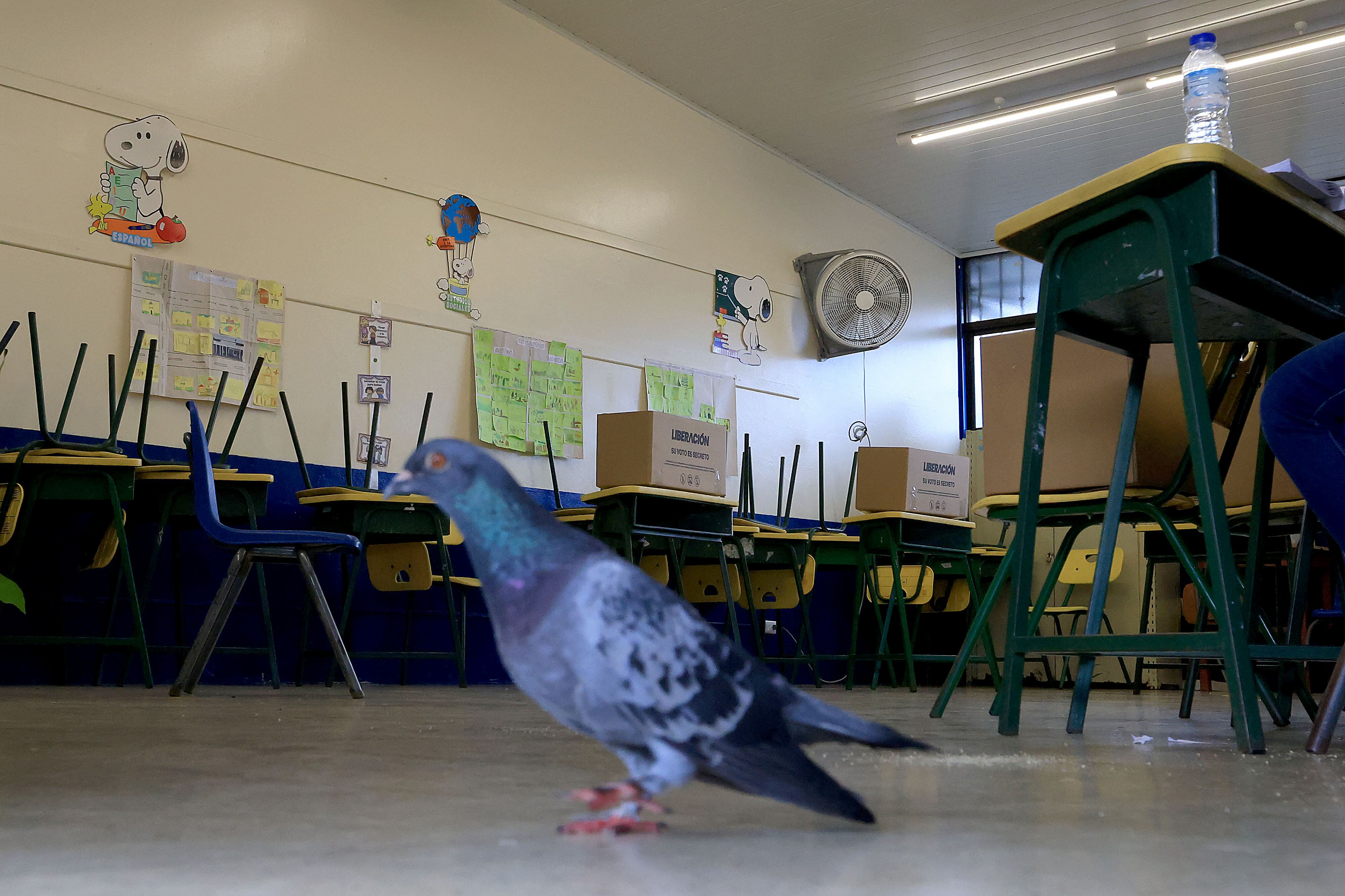 Convención del Partido Liberación Nacional (PLN)