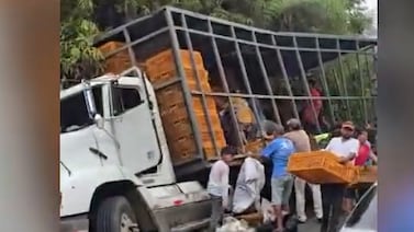 (Video) Ayude a identificar a personas que se llevaron pollos tras accidente de camión