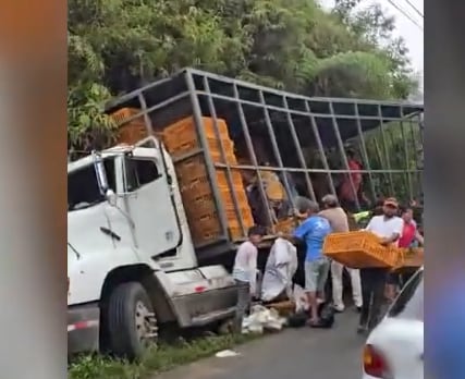 El OIJ busca a los sospechosos de apropiarse de varios pollos luego de que el camión que los transportaba tuvo un accidente
