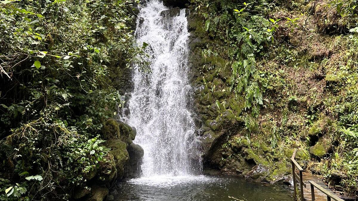 El parque de aventuras se ubica 3 kilómetros al norte de la Iglesia Católica en San José de la Montaña, Heredia.