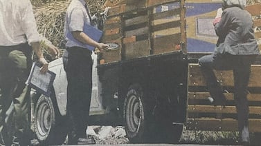 Cruel crimen: pelos de un perro fueron clave para resolver asesinato de empresario