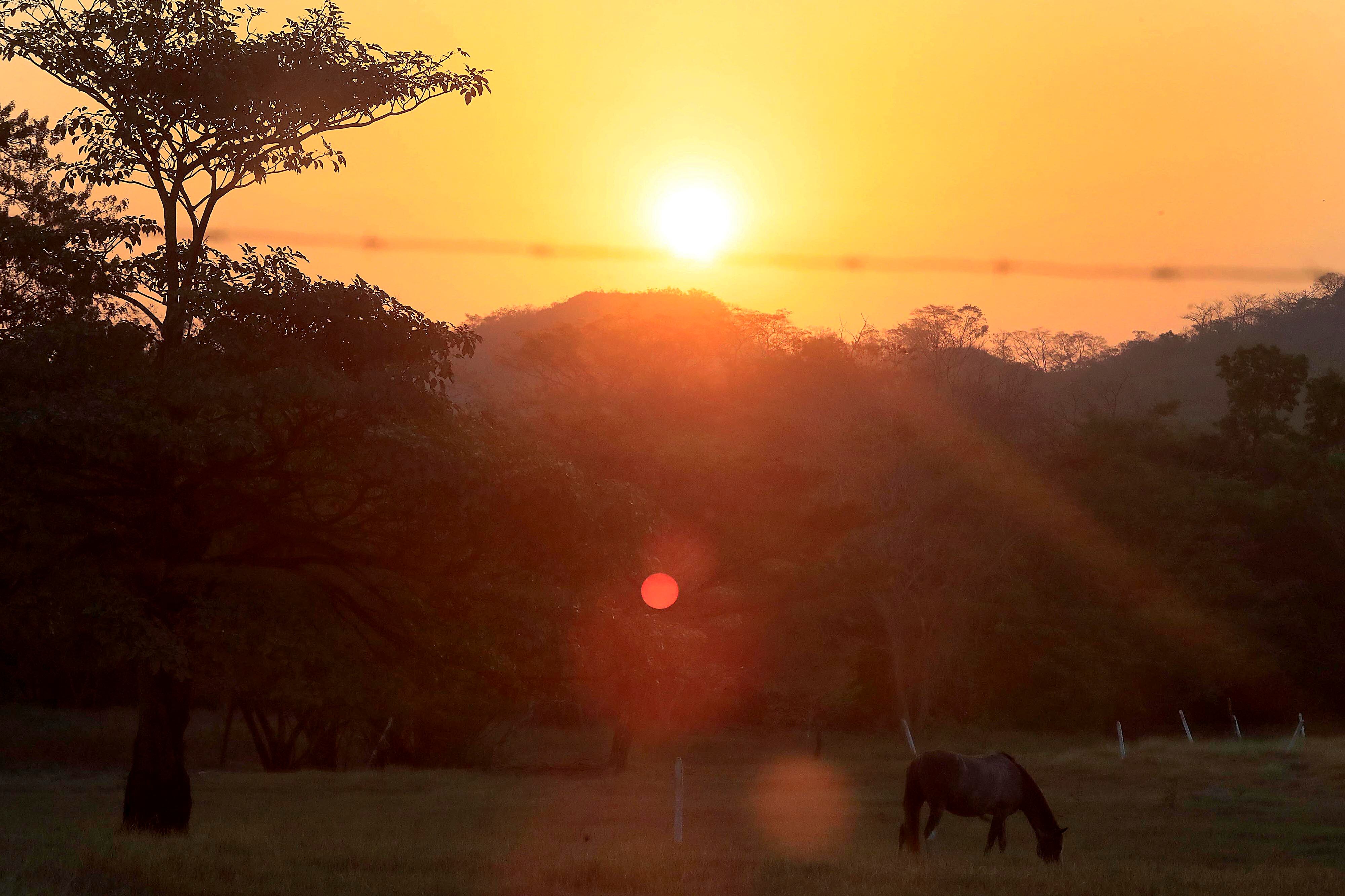 10/03/2024     Playa Conchal, Guanacaste. Arena, playa y sol... y los turistas que llegan a disfrutar de las buenas condiciones del clima, con cielo azul despejado, eso sí con mucho calor. Foto: Rafael Pacheco Granados