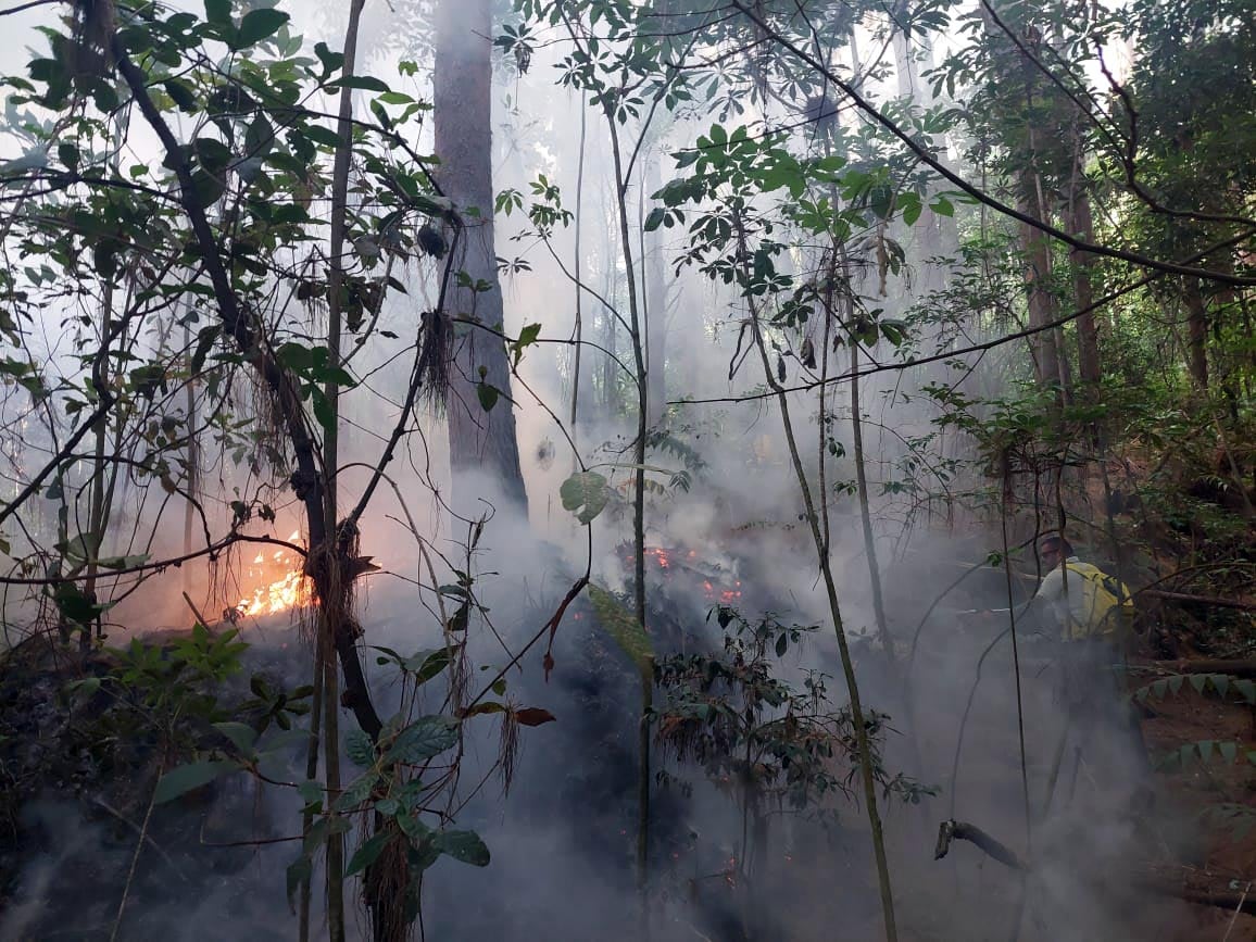 Incendio Forestal, Prusia