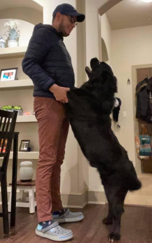 Paulo Alvarado, periodista tico en Univisión Chicago