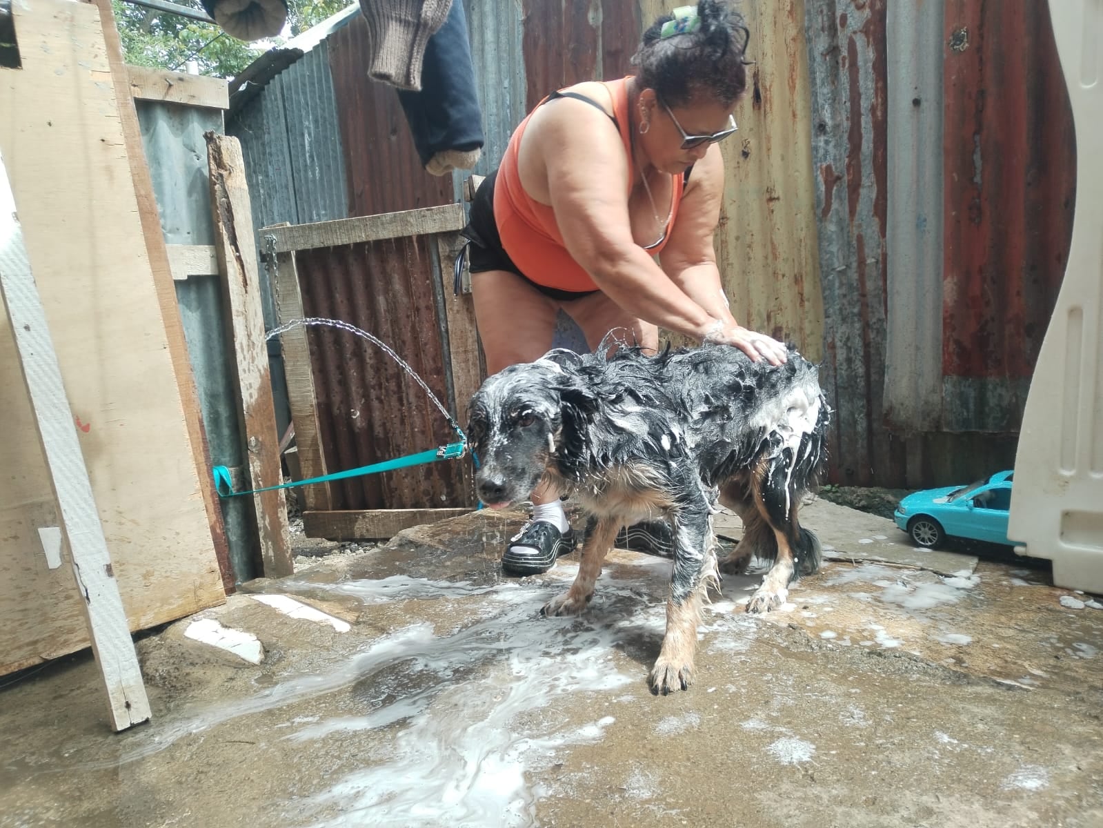 Otto fue rescatado durante la Romería del 2025 y adoptado ese mismo 2 de agosto por la familia de doña Nancy Sánchez, quien asegura que la Virgencita de los Ángeles se lo puso en el camino.