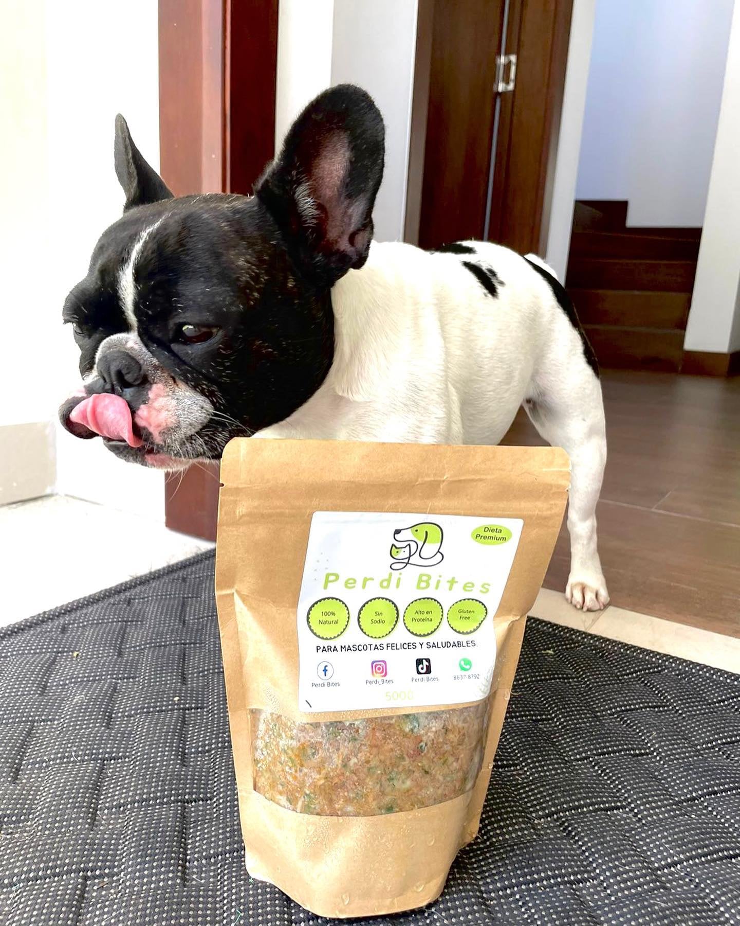 Daniel Alvarado García no solo es un chef profesional con 15 años de experiencia, también es el "papá" humano de Perdita y Pipin, dos perritos que comen mejor que muchos humanos, y no por antojo, sino porque él y su pareja, Nicole Irola, crearon un negocito lleno de amor perruno llamado Perdibites