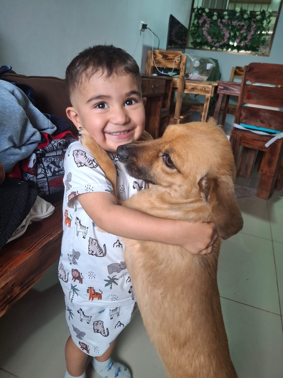 Lazzie Marie es una perra zaguatica que pasó de haber sido botada en un saco toda enferma a ser la luz del hogar de doña Carolina de Franco