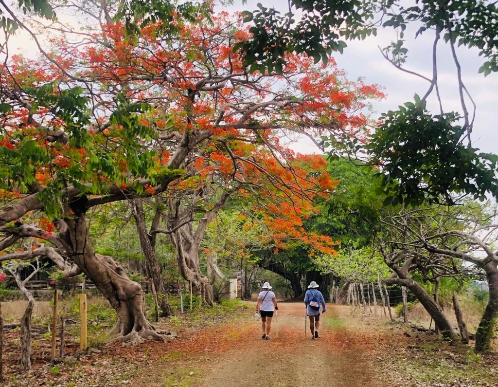 Tica Ana Saborío Saborío es casada con el suizo Franz Rinderer y se quedaron varados en Costa Rica por el Covid-19
