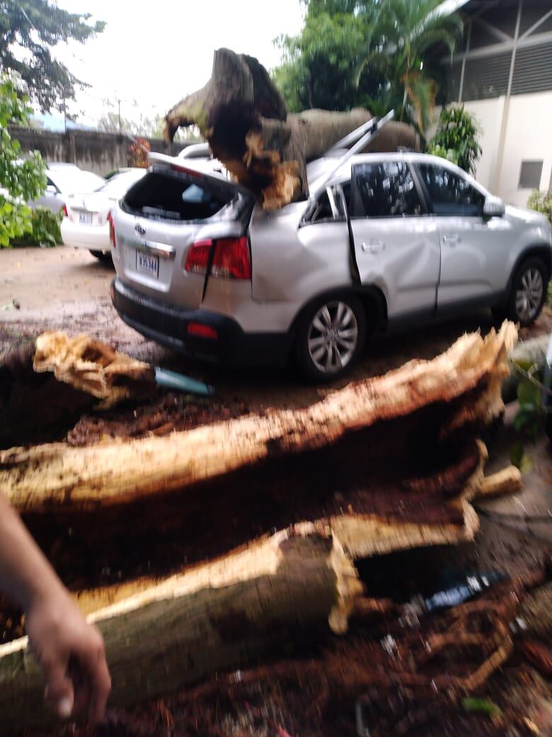 Lluvias del lunes causaron 105 incidentes en 30 cantones. Foto