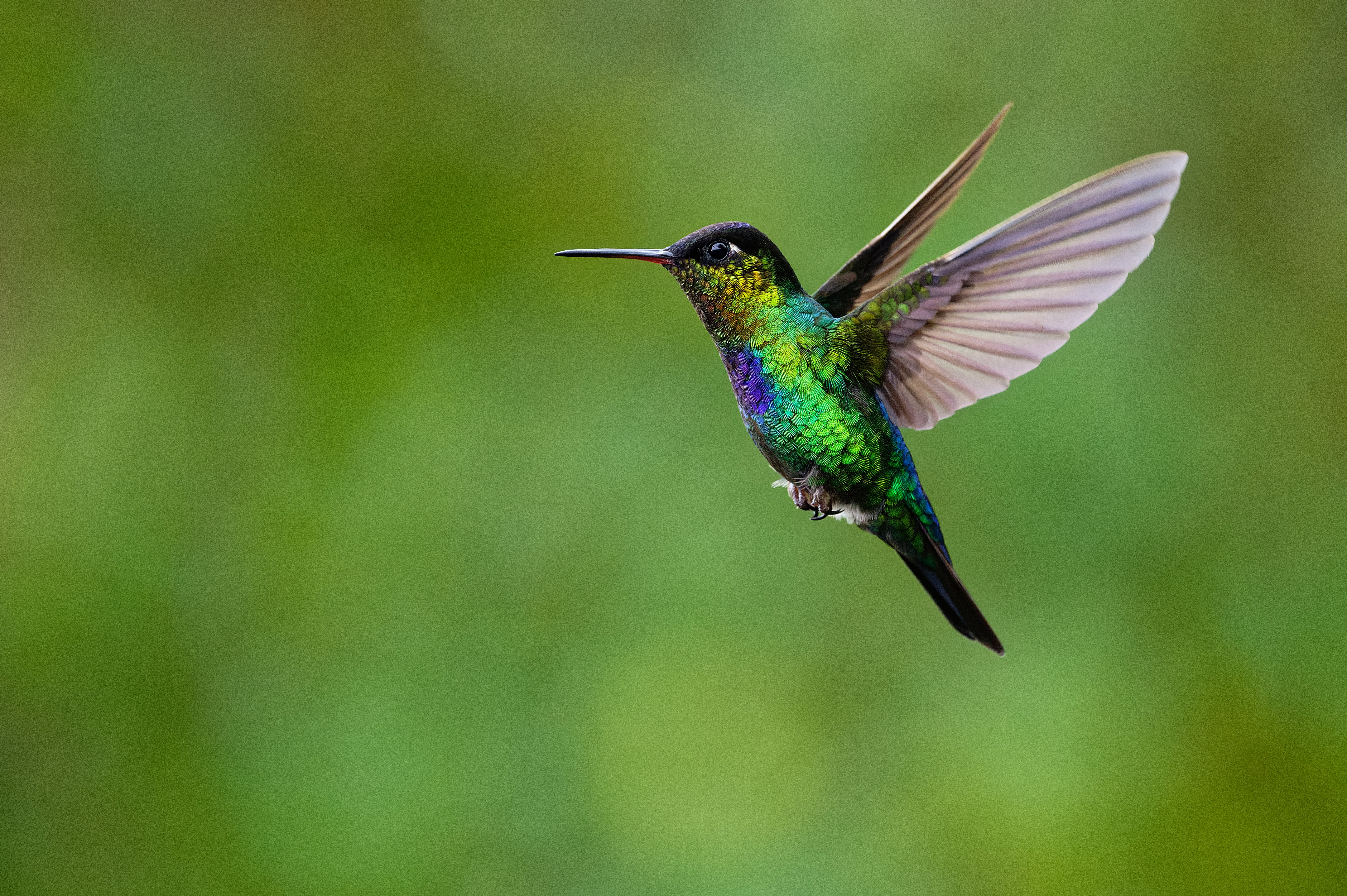 En la tercera visita a Costa Rica que hace el español, Leandro Gallar Carracedo, le tocó vivir lo que él considera la aventura más épica en nuestro país, ya que salvó a un perezoso de morir ahogado el domingo 8 de agosto del 2021