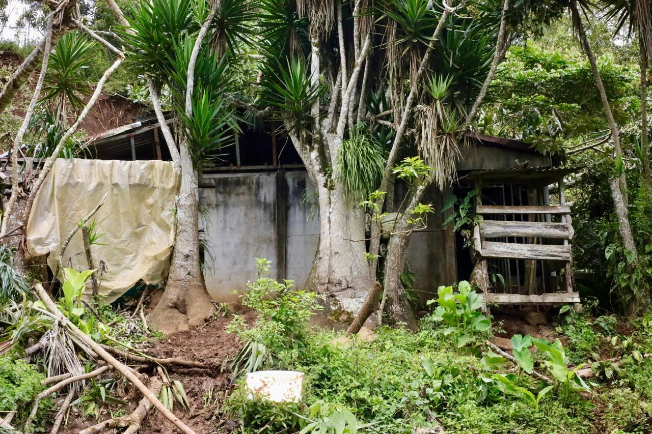 Un amigo del matrimonio que murió en un deslizamiento en Piedades Sur de San Ramón, Alajuela logró sobrevivir para salvar a la hija mayor y a una prima de las víctimas. Foto:Alonso Tenorio