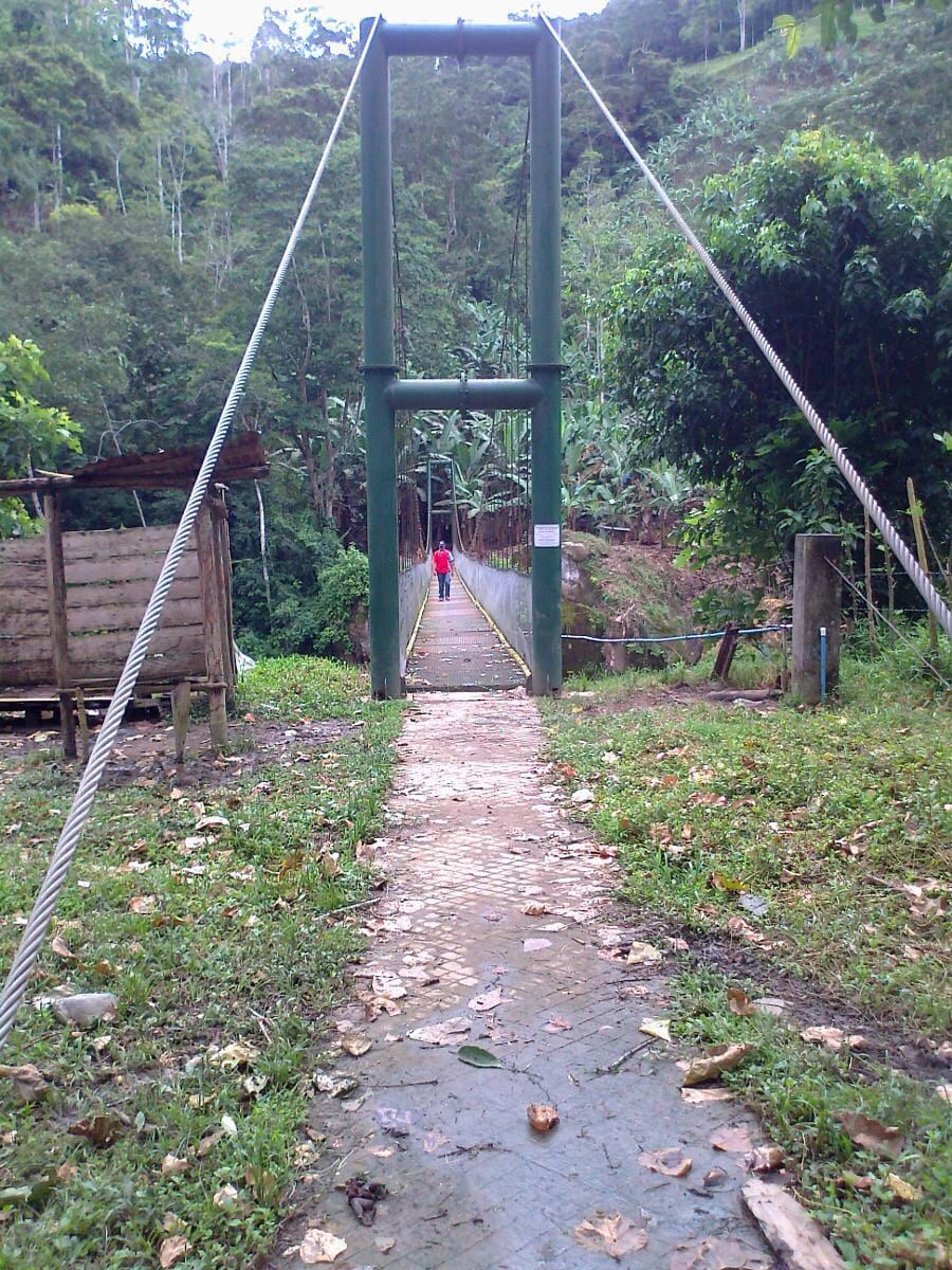 Recorra los bosques y senderos de Aserrí y conozca su historia en cada paso.