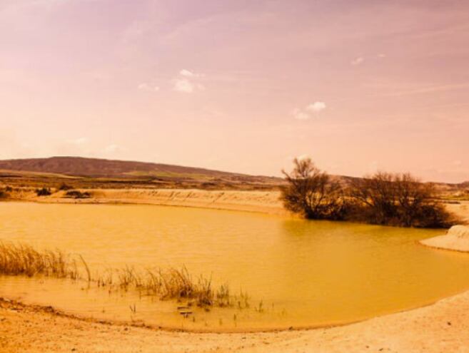 Desierto inundado