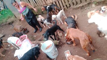 La impactante historia de mujer que convirtió su casa en un refugio para decenas de animales abandonados
