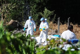 Un paseo común terminó en pesadilla tras hallar huesos humanos en una bolsa