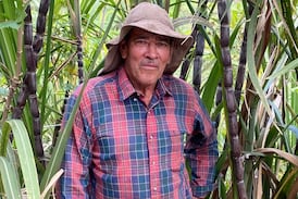 Don Martín cultiva la tierra desde hace 67 años: “Ser agricultor es una bendición que Dios me dio”