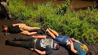 Tras capturar a Diablo, autoridades golpean una de las estructuras que lo rodearía