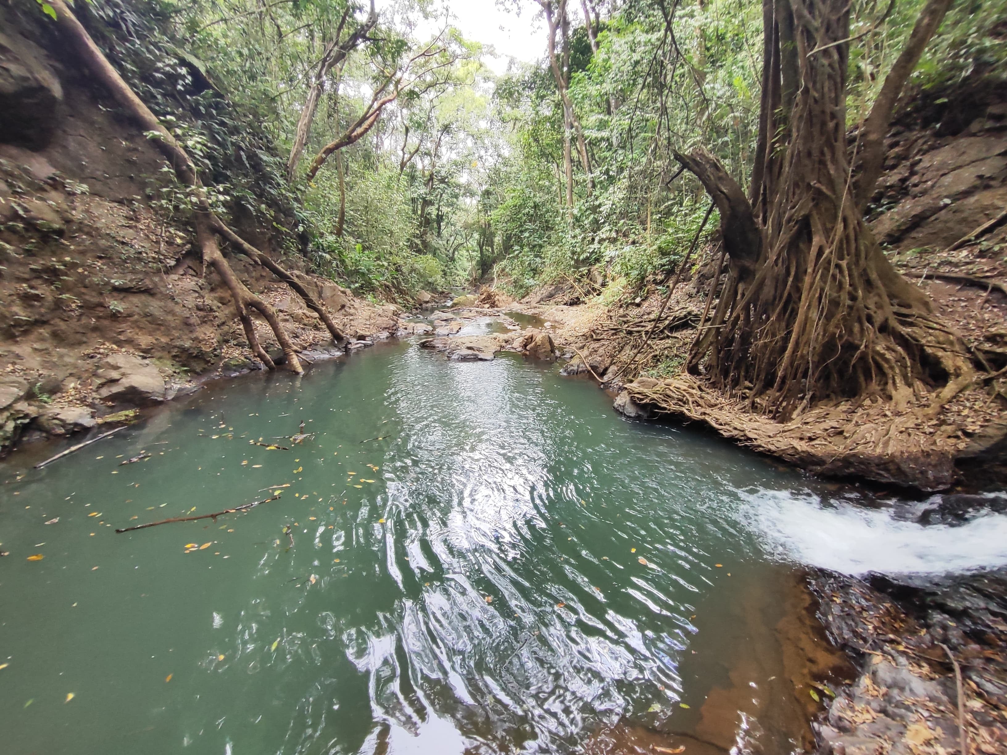 El lugar ideal para pasarla en familia
