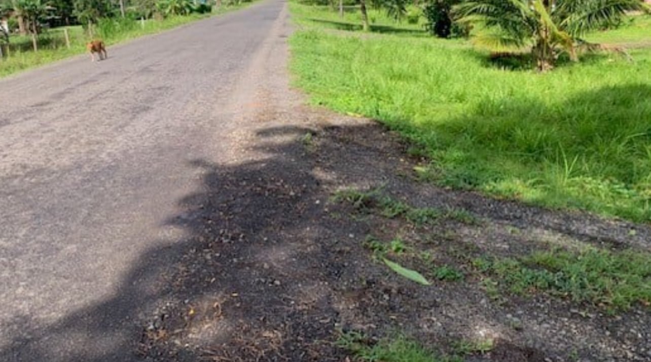 El Banco Nacional tiene varias casas y terrenos en subasta, así como en descuento.