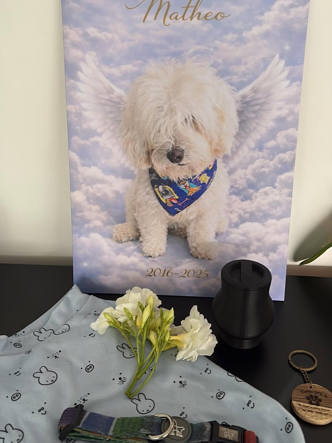 Jacky Álvarez lamenta la pérdida de un perrito llamado Matheo.