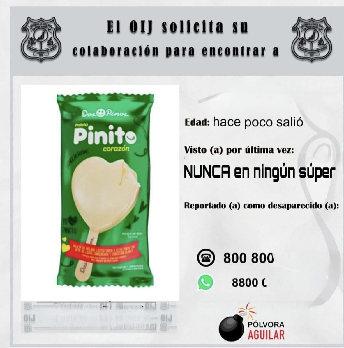 Helado de Leche Pinito