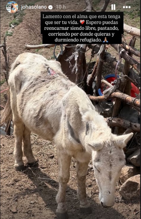 Johanna Solano, presentadora de televisión y exmiss Costa Rica