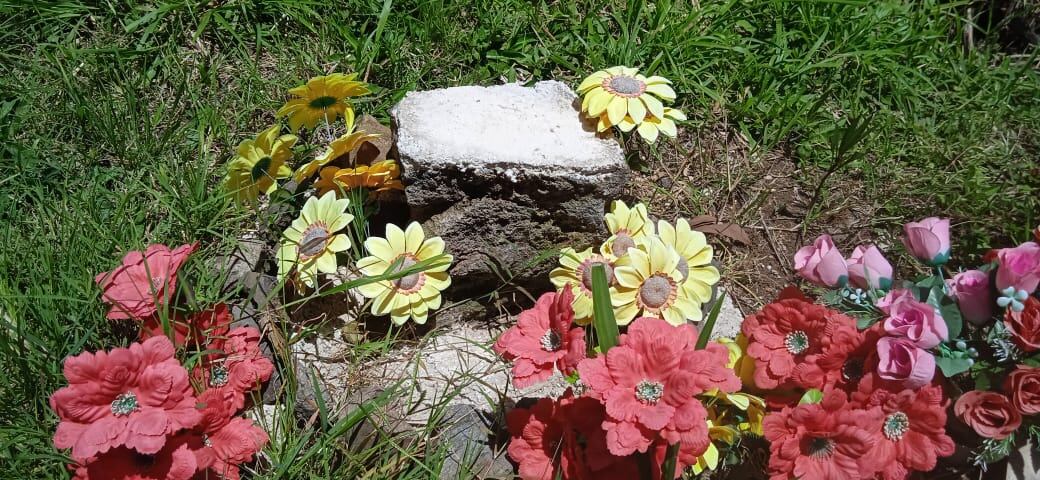 Roban imagen de la Virgen de Los Ángeles que fue colocada en altar para Allison Bonilla. Foto suministrada por Keyna Calderón.