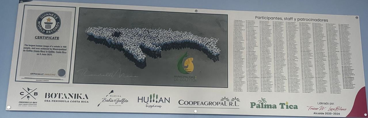 El sábado 8 de junio del 2024, a las 9 de la mañana, llegaron a la convocatoria 466 personas a playa Zancudo para formar la silueta de una ballena jorobada y así imponer un nuevo Record Guinnes.