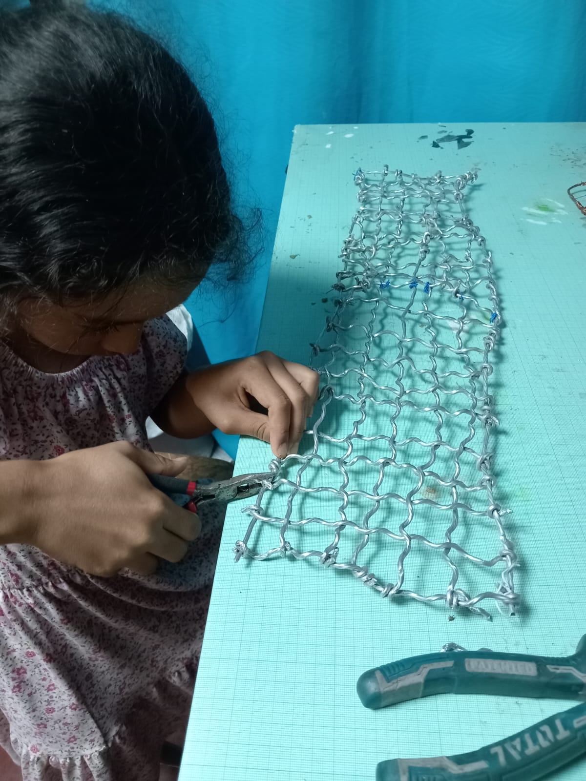 En el barrio Jesús de Santa Bárbara de Heredia todavía hay vacas pastando y aire limpio. Allí vive Jade Fernández Caicedo, una niña de apenas 9 años que logró cargar un celular con la energía de las plantas