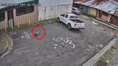 Juicio contra policías sospechosos de atropellar y matar a un perro podría dar un giro inesperado