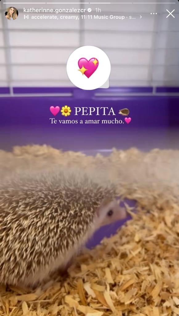 Katherinne González