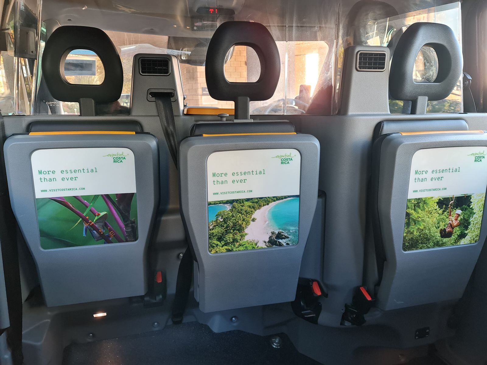 Ranas de ojos rojos presumen su belleza y la de Costa Rica en taxis clásicos en Lóndres. (Cortesía)