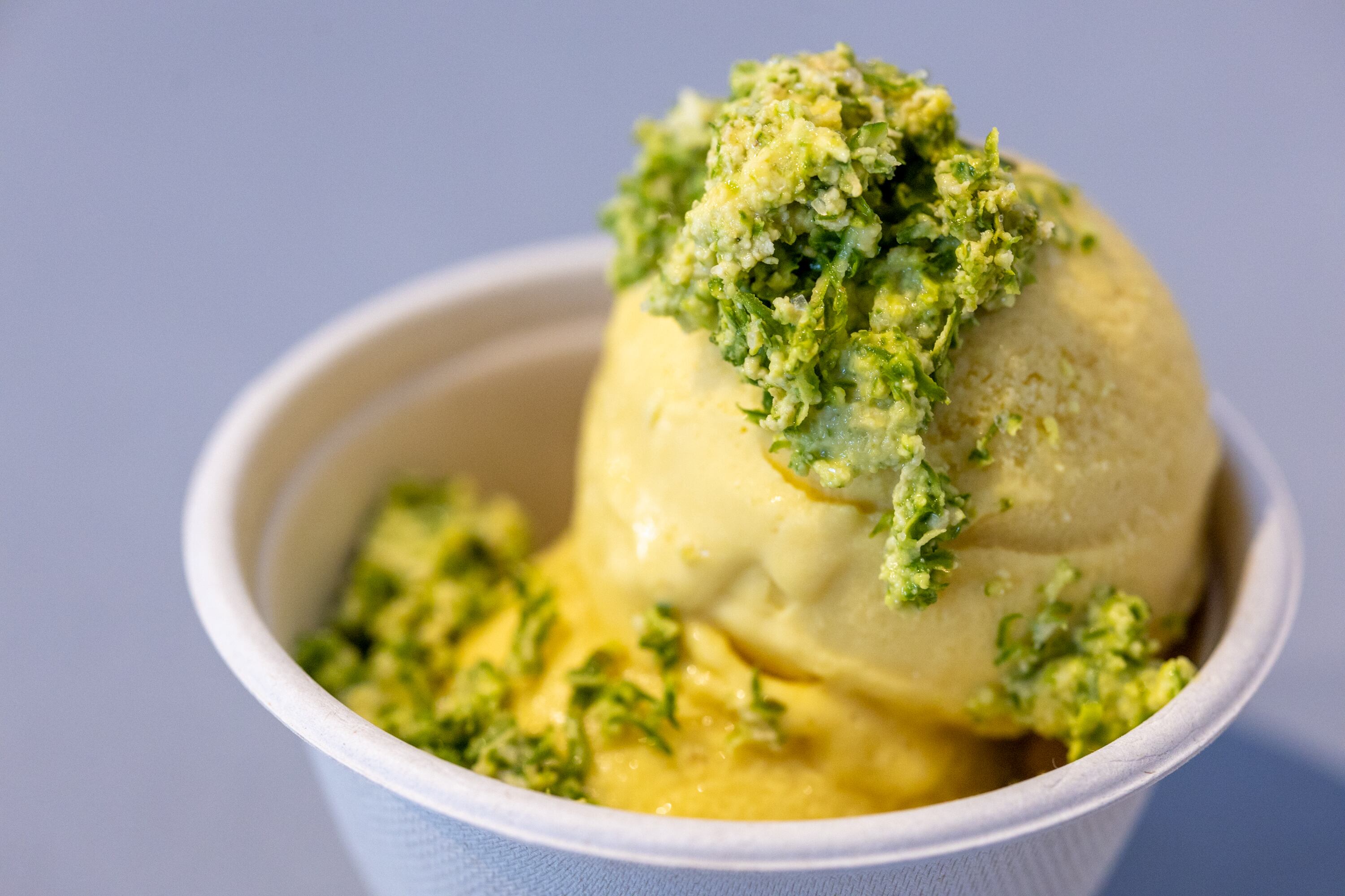 16/08/2024, San Jose, Rohrmoser, entrevista con Paulina Acuña y Humberto Ling, propietarios de Corazón Contento, para hablar del Gelato de Jocote.