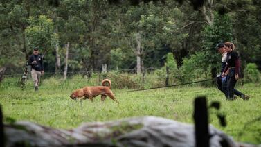 Este es el ruego de la hija de Ligia Faerron, mamá desaparecida hace 18 días