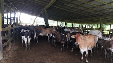 Hoy se decide el futuro de banda sospechosa de ocultar ganancias por drogas de manera increíble