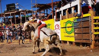 Ganadero Chemi Jiménez reclama a Fiestas de Santa Cruz: “El cheque no tenía fondos”
