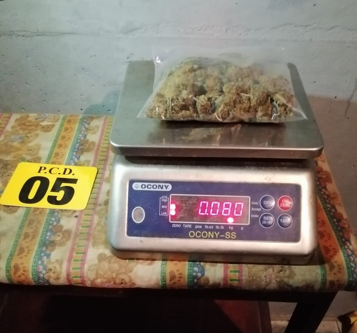 Detenidos por PCD en Puntarenas. Foto MSP.