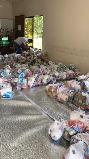 Más de 2.500 pancitas del Caribe Sur están más alegres