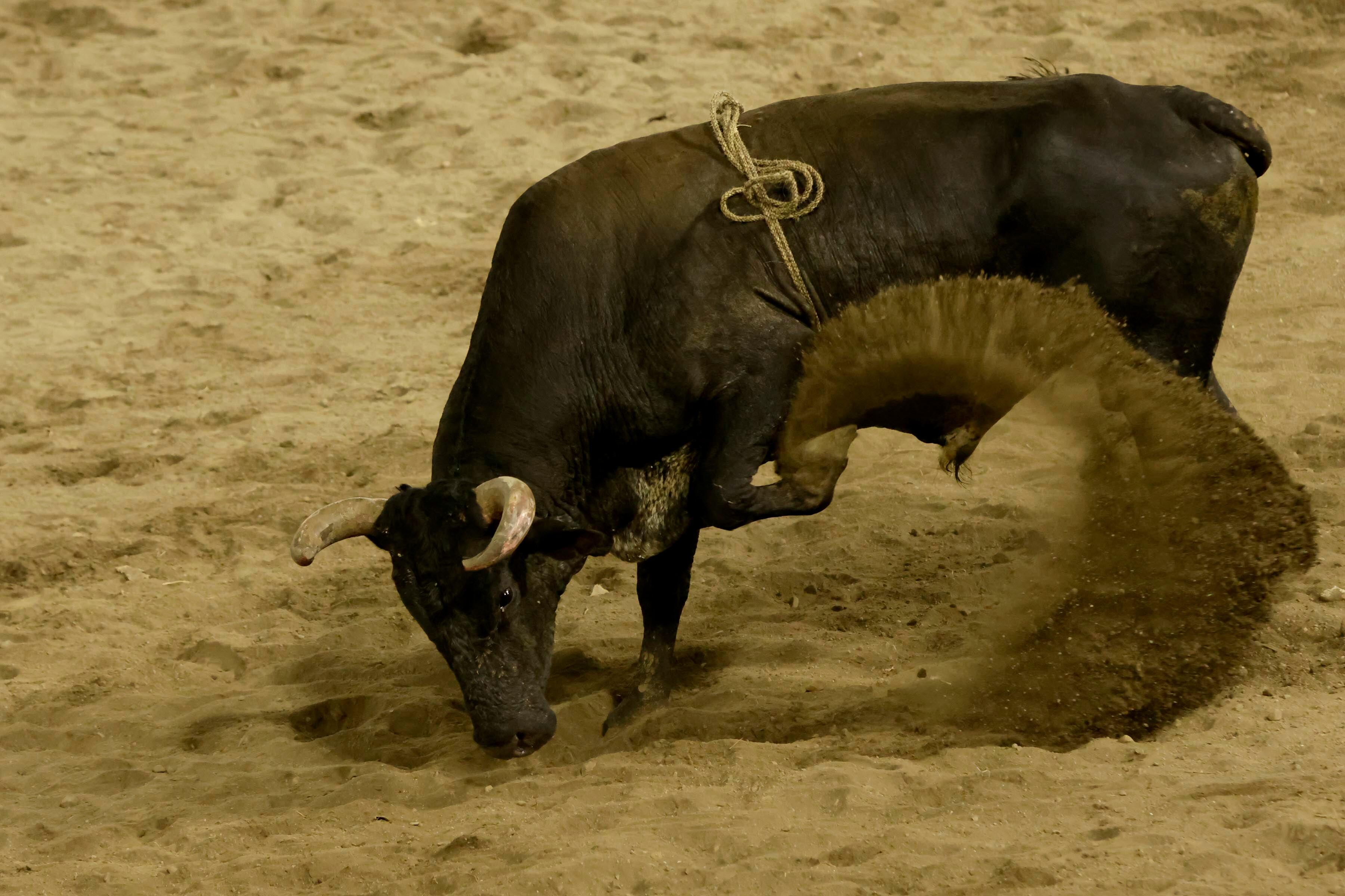 Corrida de toros - Zapote
