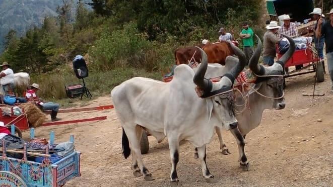 El desfile lo espera el próximo sábado 23 de marzo.