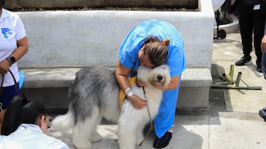 Internada en el San Juan de Dios: “No hay pastilla que me haya hecho tan bien como la visita de estos perritos”