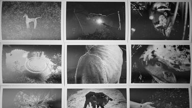 Feria Rebobina: Compre fotografías de la mano de sus propios creadores