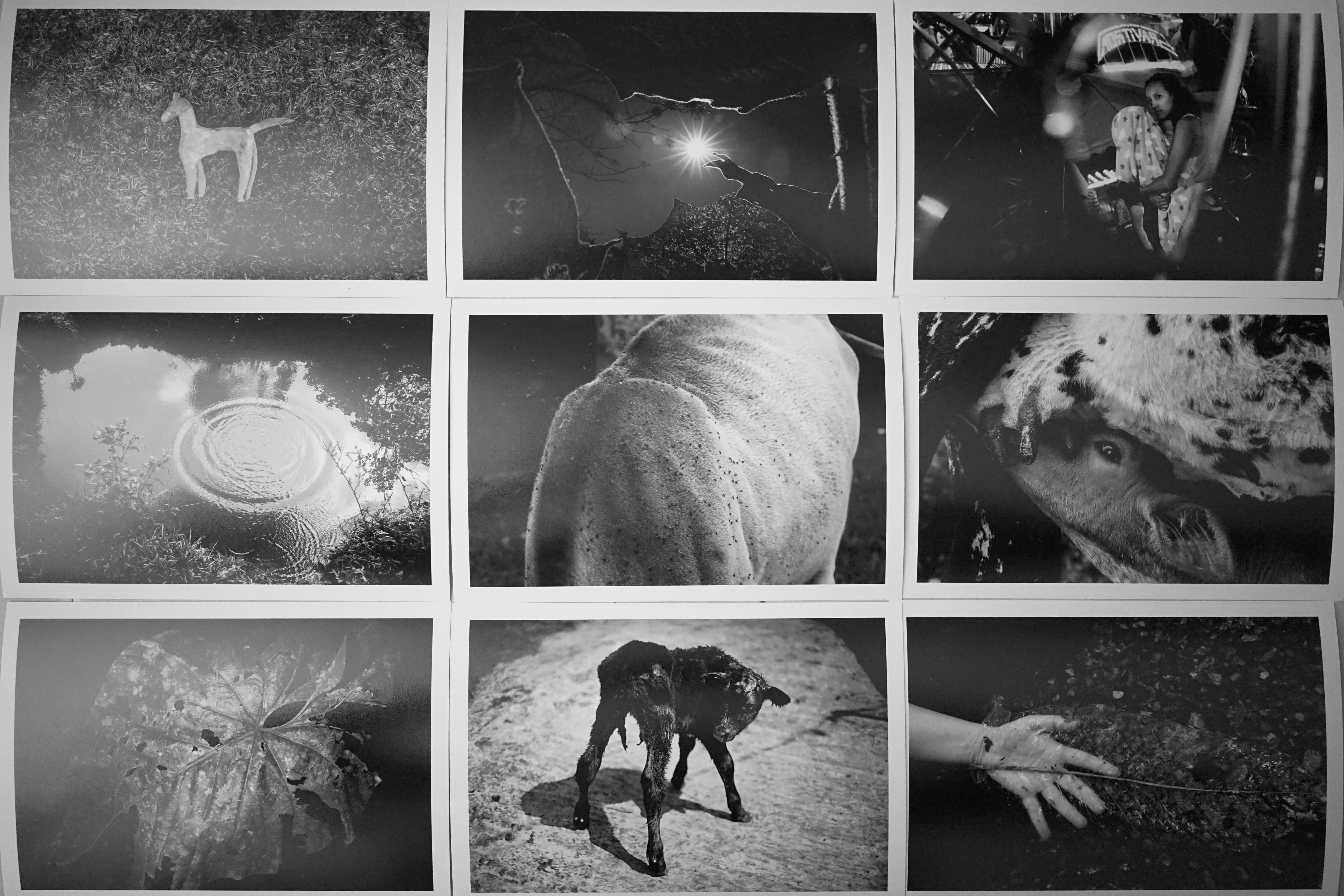 La Feria Rebobina dispondrá de fotografías de 12 artistas locales (Foto: Adrián Arias)