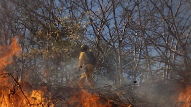 Bomberos vive las 24 horas en alerta máxima en el peor año por incendios forestales