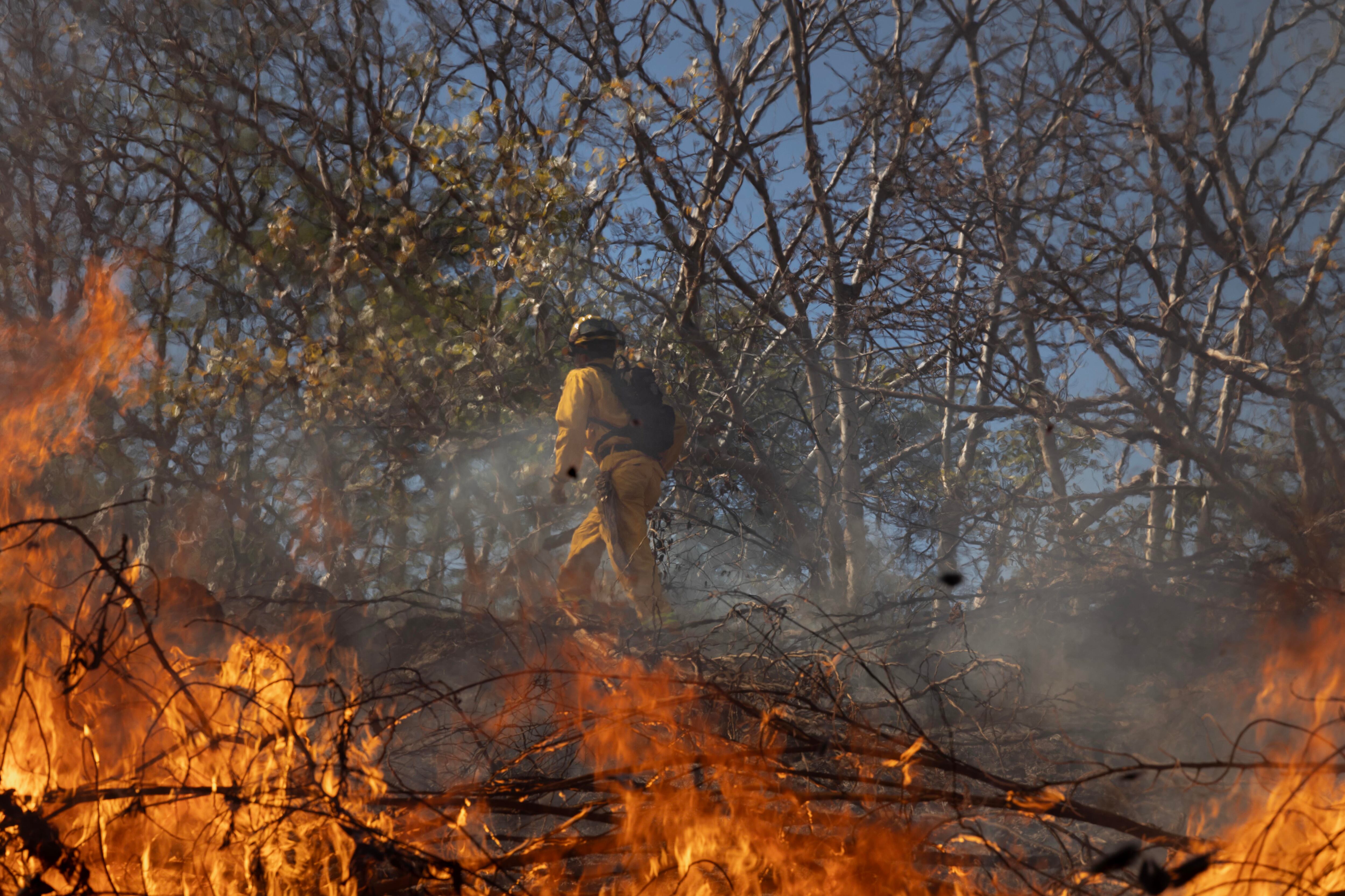 Incendios Forestales, lo atiende la birgada de bomberos forestales. Foto Alonso Tenorio