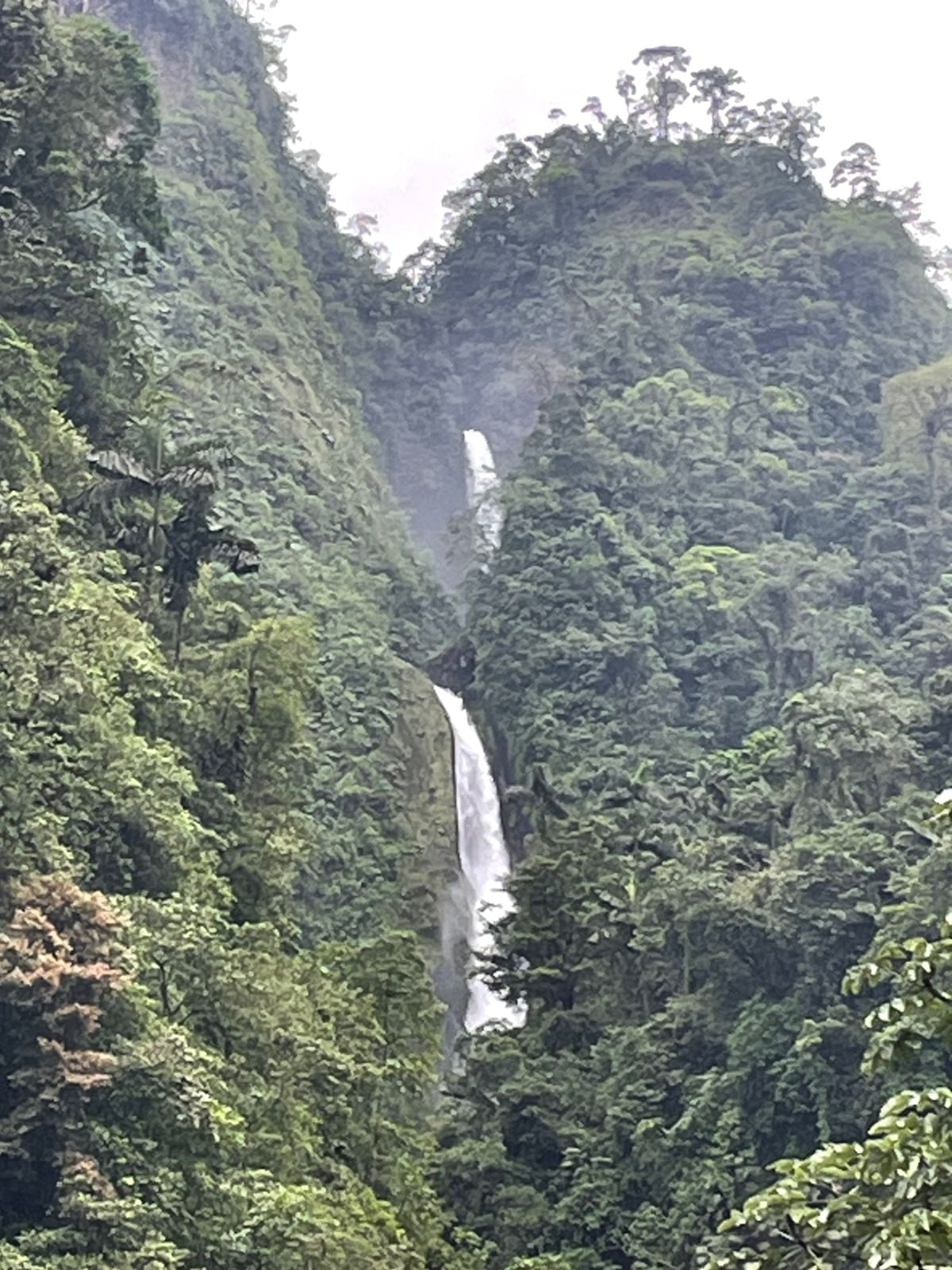 Cuatro personas fueron rescatadas en la Catarata Gata luego de ingresar a un sitio prohibido, el mismo lugar donde en 2019 murieron tres personas. Foto: Bomberos para La Teja