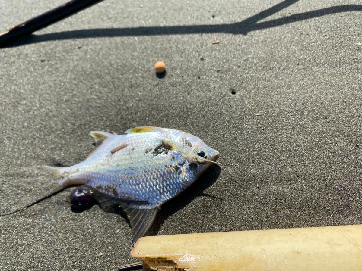 Así se ve la realidad de las lagunas de Batán. Foto: Cortesía.
