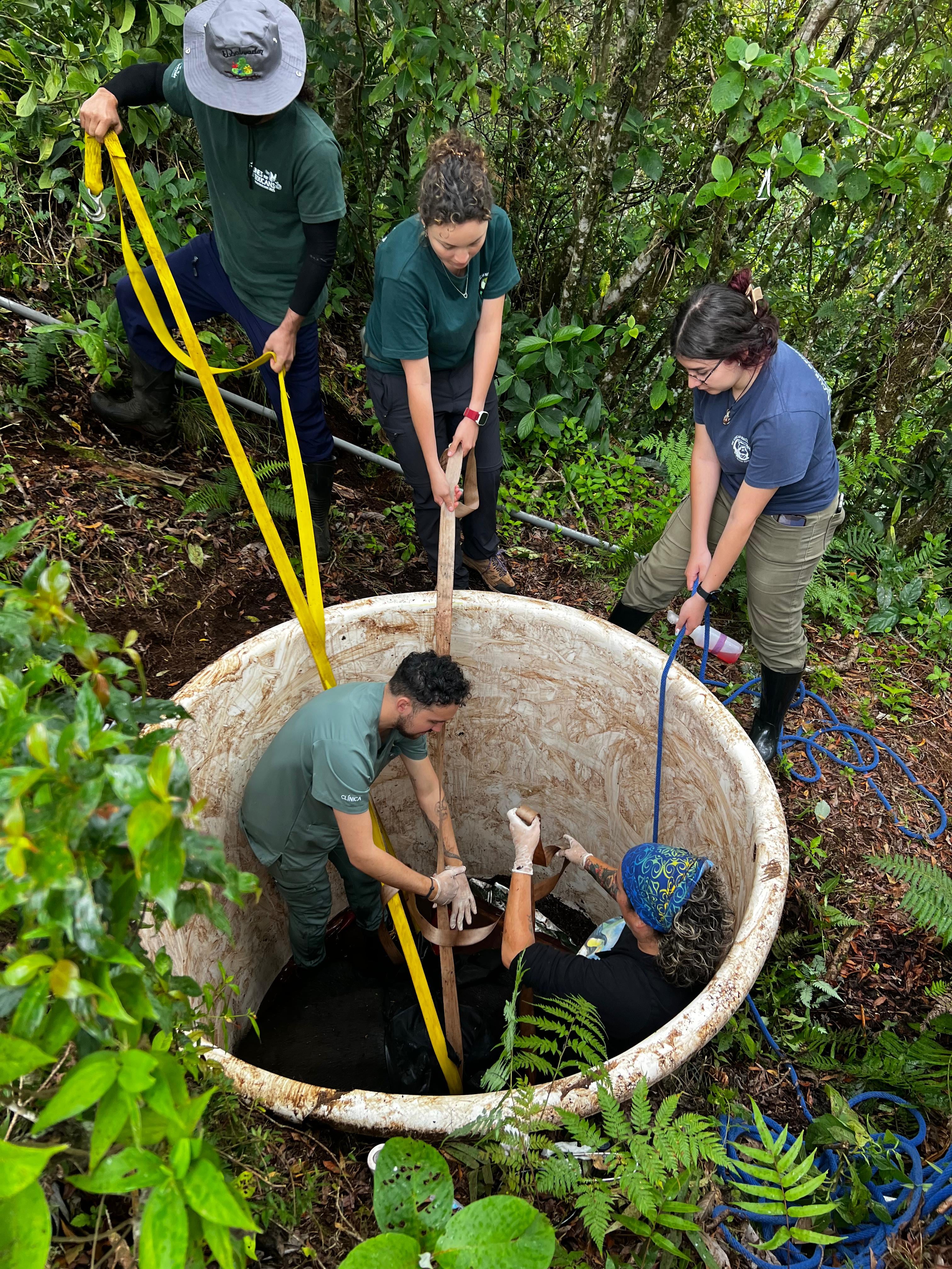 Toucan Rescue Ranch danta